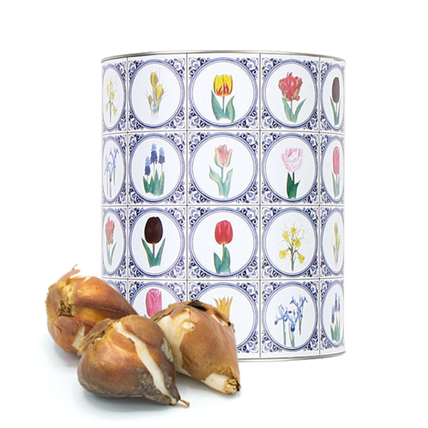 Tube flower bulbs medium | Eco gift